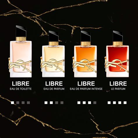 ysl lebre|ysl libre description.